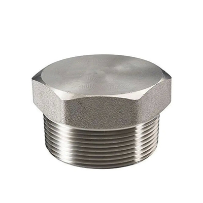ANSI/ASME Thép không gỉ Thép carbon Plug kích thước & vật liệu có thể tùy chỉnh