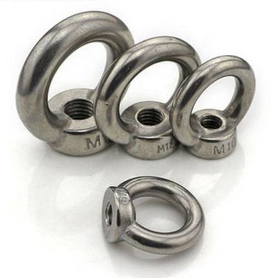 Thép không gỉ DIN580 Chốt nâng mắt DIN582 với vòng đệm kép và đai ốc SS304 / SS316