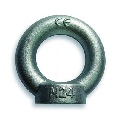Thép không gỉ DIN580 Chốt nâng mắt DIN582 với vòng đệm kép và đai ốc SS304 / SS316