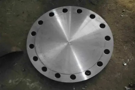 Phân thép hợp kim niêm phong tuyệt vời A182 F304/304L F316/316L B16.5 Phân thép rèn cho các môi trường công nghiệp khác nhau