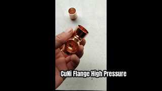 Mặt bích hàn cổ CuNi 90/10 EEMUA 145