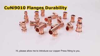 Mặt bích CuNi9010 Hàn thép rèn RF