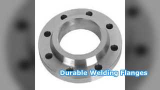 Mặt bích cổ hàn SS304 SS316 PN6
