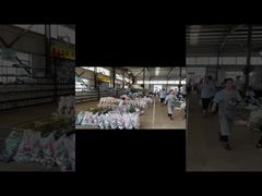 Bên Trong Nhà Máy Công Nghiệp Hiện Đại Của Chúng Tôi | Tham quan cơ sở sản xuất